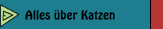 Alles über Katzen
